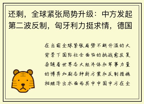 还剩，全球紧张局势升级：中方发起第二波反制，匈牙利力挺求情，德国新方案浮出水面
