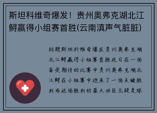 斯坦科维奇爆发！贵州奥弗克湖北江鲟赢得小组赛首胜(云南滇声气脏脏)